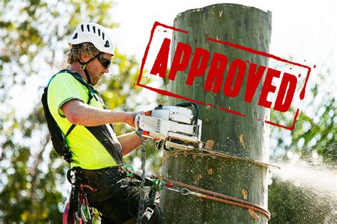 5 Steps To Get Tree Cutting Permission