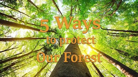 5 Ways To Ace Your Forest River Application