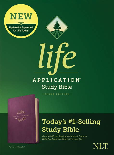 Life Application Esv Study Bible Insights