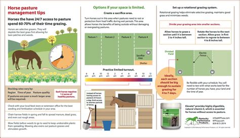 Optimal 2 4-D Application Rates For Pasture Management